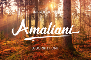 Amaliani: A Handwritten Script Font That Elevates Real Small Business Branding