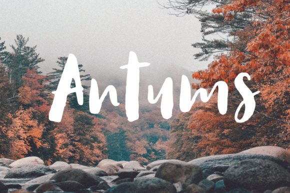 Antums: A Fresh Hand-Drawn Script Font for Editorial Design