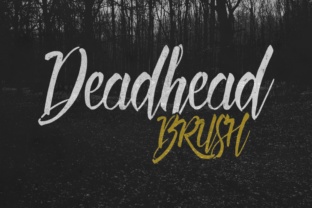 Deadhead Brush: A Hand-Painted Script Typeface for Digital Branding