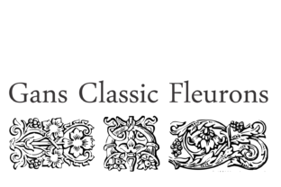 Gans Classic Fleurons: A Vintage Dingbat Font That Elevates Real Business Design