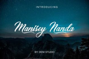 Nanda Script Font for Small Business Branding