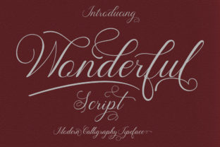 Wonderful Font: Elegant Script for Small Business Branding